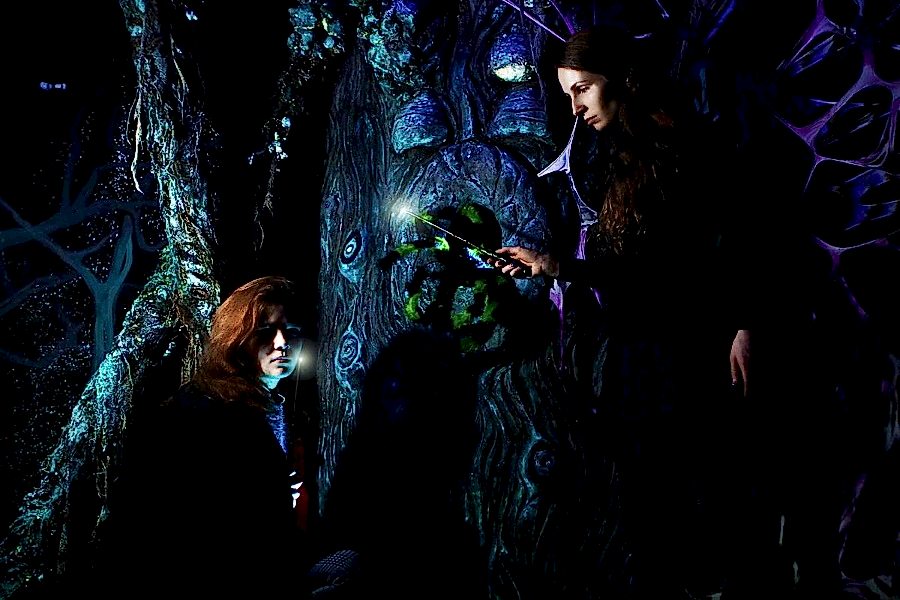 Квест в реальности Приключения Гарри от компании ATMOkids (Алматы)